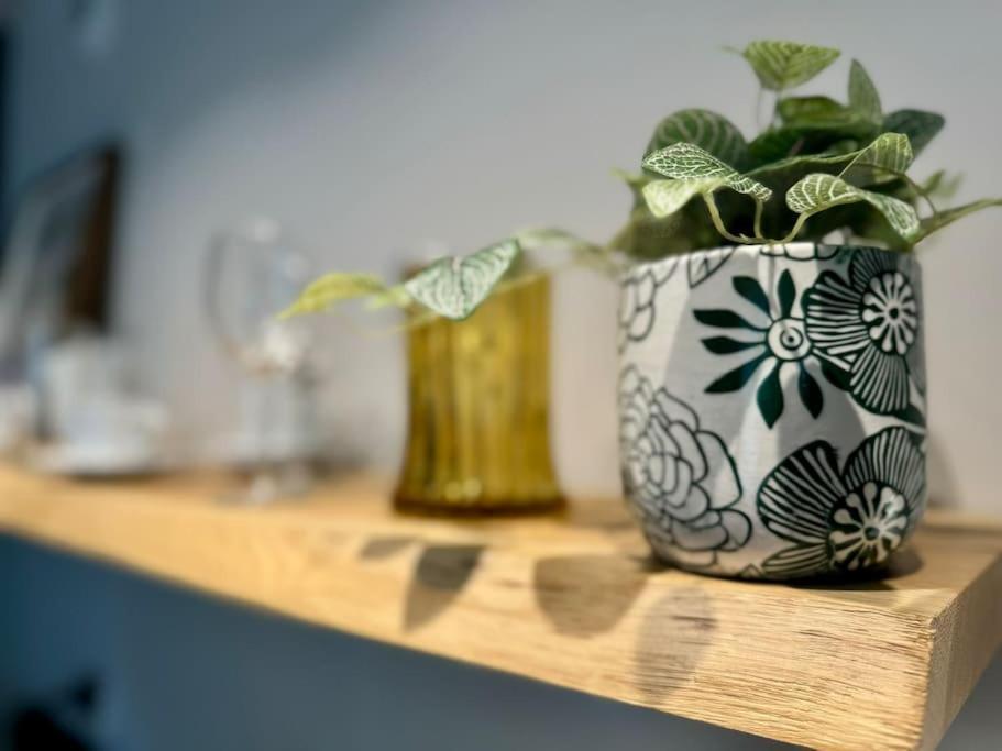 Art & Sunski Studio Z Garazem Podziemnym Krynica-Zdrój Esterno foto